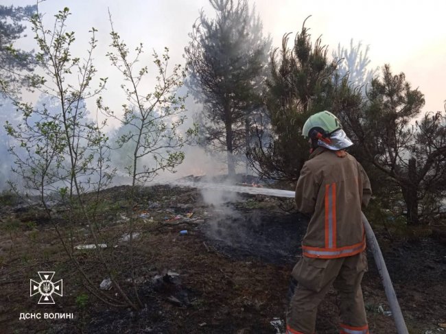 На Волині горіли два сміттєзвалища