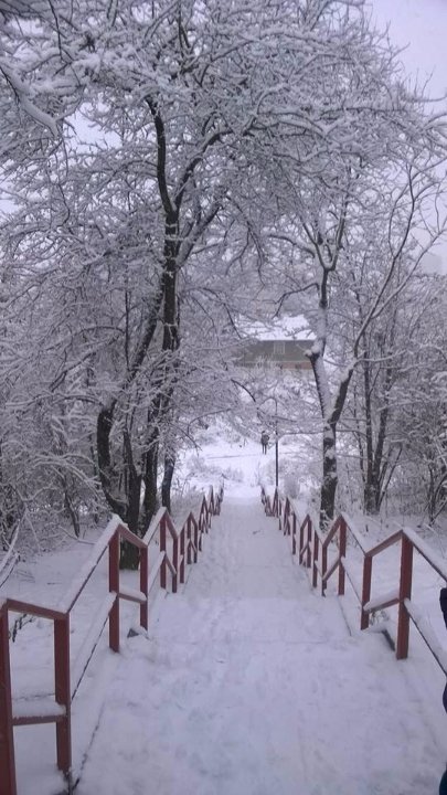 Засніжені сходи від Ірини Бондаренко