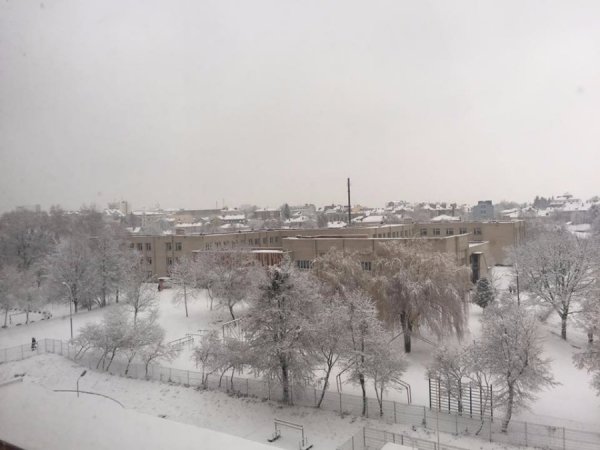 Світлина громадської діячки Оксани Гузь