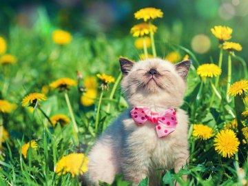 Погода в Луцьку та Волинській області на п’ятницю, 8 травня