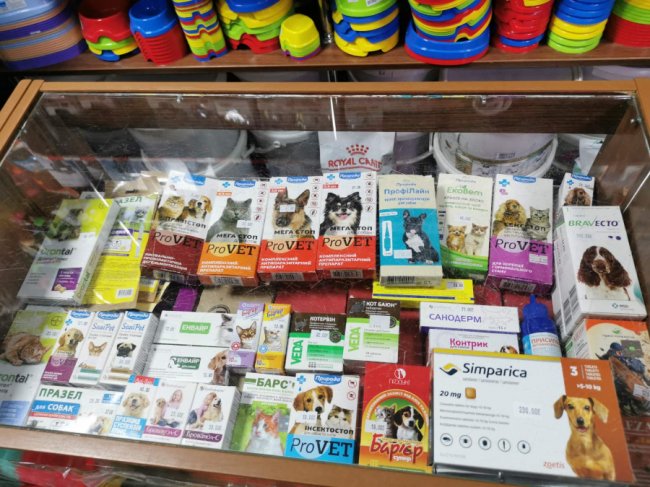 Усе необхідне для тварин – online і з безкоштовною доставкою під двері: як луцький «Зоомаркет» працює в карантин*