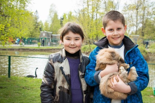 У Луцькому зоопарку дітлахи знайшли загублене яйце. ФОТО