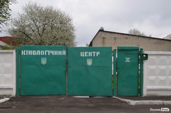 Як живуть та тренуються службові собаки. ФОТО