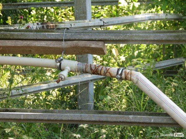 БАНДЕРШТАТ. Наживо. ТЕКСТ. ФОТО. День другий