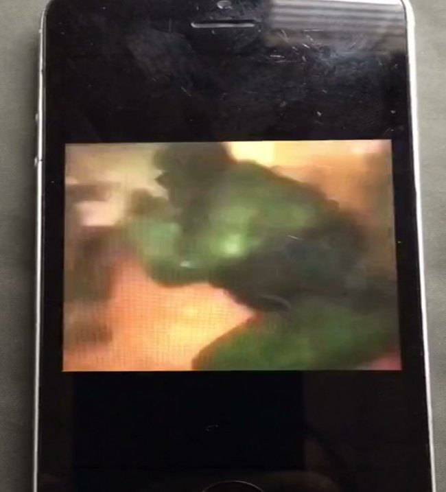 На Волині затримали ймовірного терориста з Росії