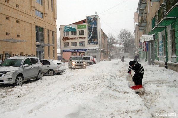 Як Луцьк замело снігом. ФОТО