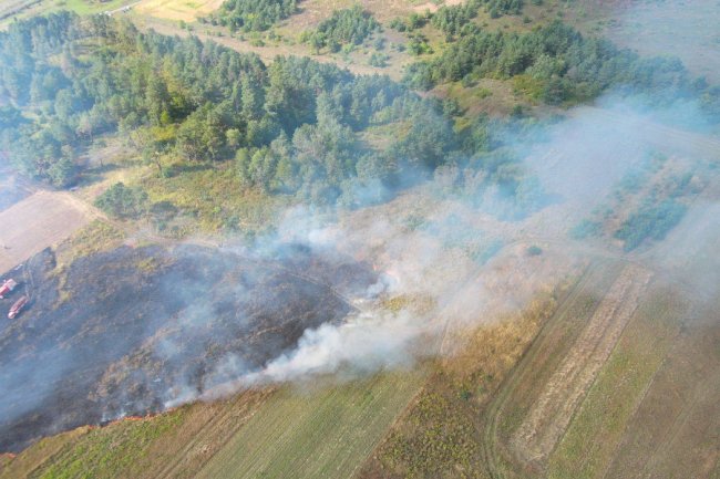 Знайшли палія, через якого горіли 2,5 гектара поля в Луцькому районі