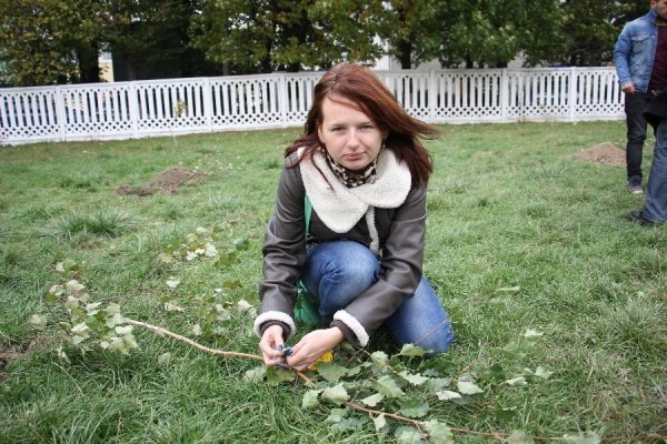 У Луцьку саджали дерева миру. ФОТО