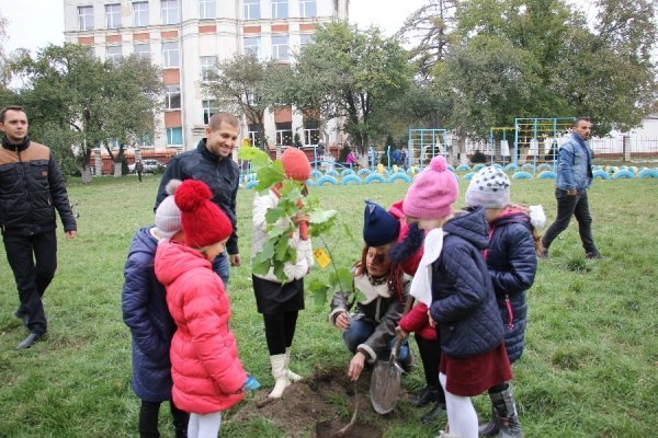 У Луцьку саджали дерева миру. ФОТО