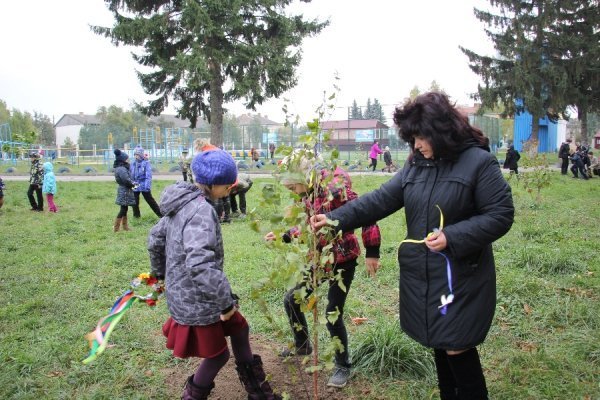 У Луцьку саджали дерева миру. ФОТО