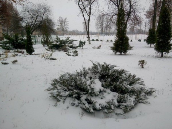 Автор фото Антон Бугайчук