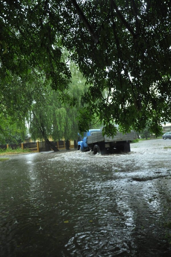 Фото: Антонина Климишина