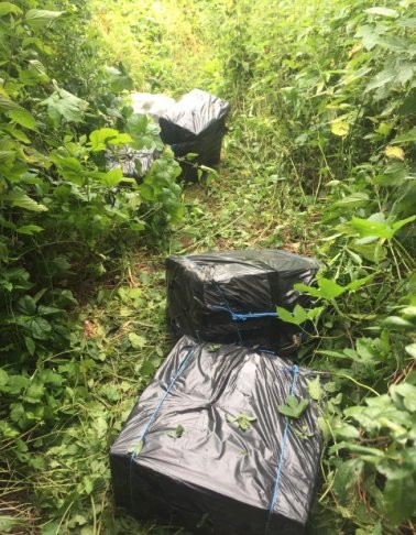 На Волині прикордонники зі стрільбою зупинили контрабандистів