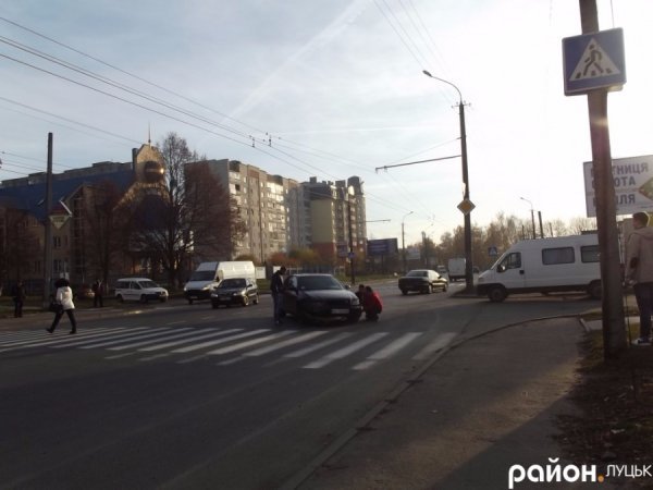 У Луцьку собака - винуватець ДТП. ФОТО