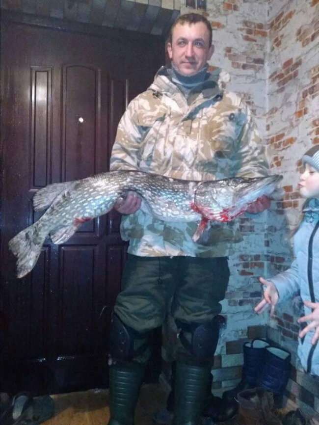 Волинянин впіймав величезну щуку. ФОТО