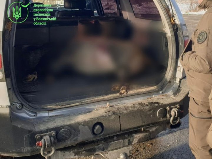 На Волині затримали браконьєра, який вбив з мисливської рушниці дикого кабана