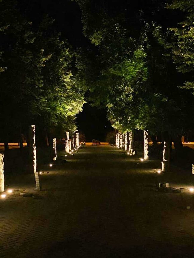 Загадково і містично: у центральному парку Луцька підсвітили алею Голованя. ФОТО