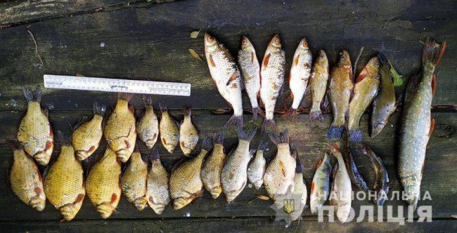 На волинському озері чоловік незаконно ловив рибу. ФОТО