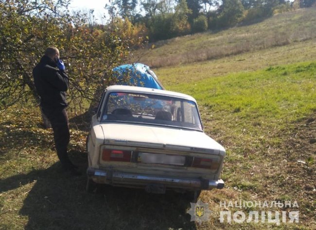Волинянин викрав автомобіль і п'яний злетів у кювет