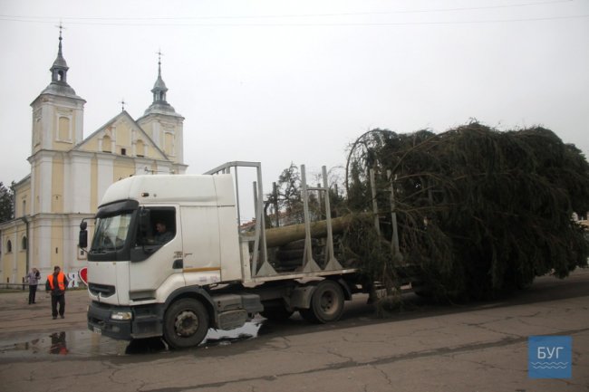 Як цьогоріч прикрасять головну ялинку у Володимирі