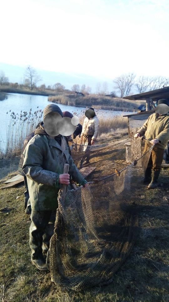 На Волині спіймали браконьєрів, які неводом зловили 100 кілограмів коропа та товстолоба