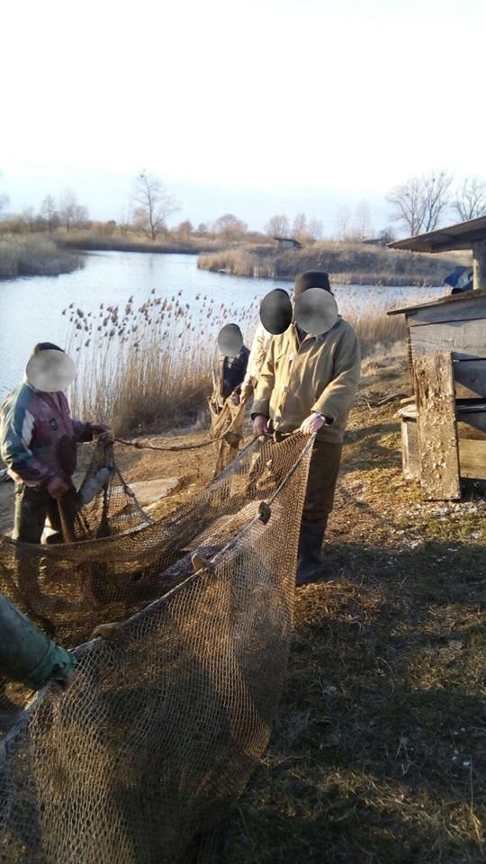 На Волині спіймали браконьєрів, які неводом зловили 100 кілограмів коропа та товстолоба