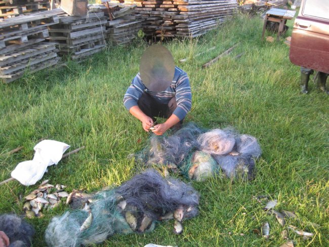 За добу браконьєри на Волині завдали шкоди на 30 тисяч гривень