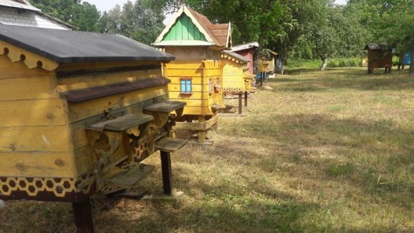 «Животворна клініка )»