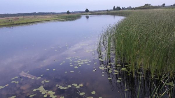 Волинська Швейцарія на кордоні з Білоруссю. ФОТО