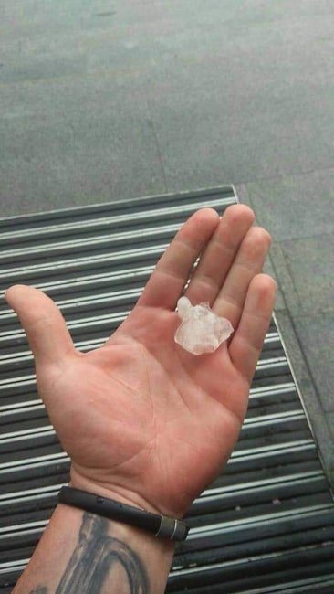 Анна Присяжна (Луцьк)