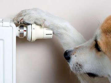 У «Луцьктеплі» повідомили, коли увімкнуть опалення для усіх житлових будинків міста