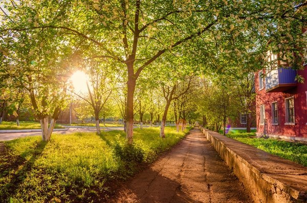 Фотовиставка Олександра Калініна