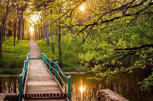 Фотовиставка Олександра Калініна