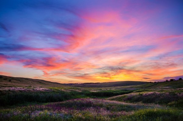 Фотовиставка Олександра Калініна