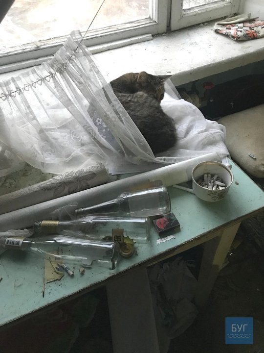 Знайшли власника квартири у Новолинську, в якій влаштували притон. ФОТО