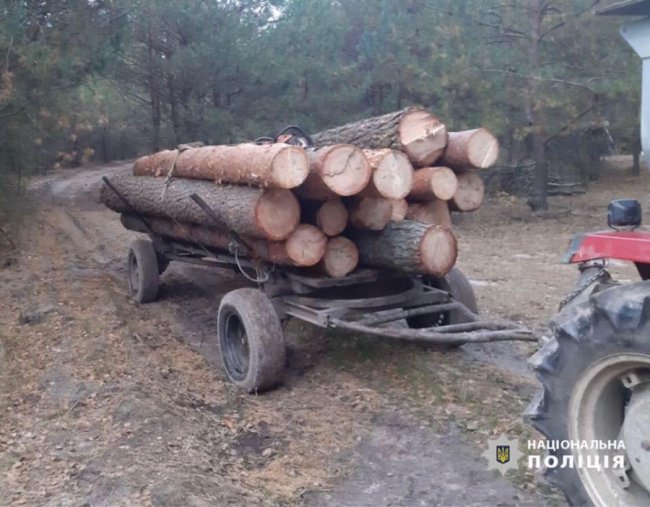 Представники громадської організації «здали» волинській поліції «чорних лісорубів». ФОТО