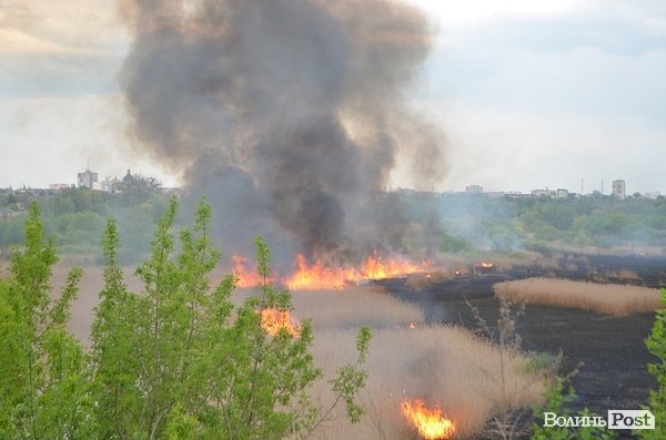 Пожежа очерету на Гнідаві. ФОТО. ВІДЕО