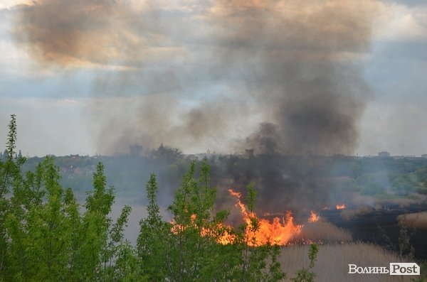 Пожежа очерету на Гнідаві. ФОТО. ВІДЕО