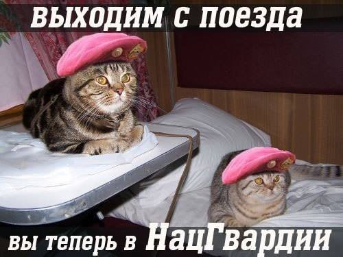 «Зніміть мене в Нацгвардію!»: українці «стібуться» з допису російської журналістки. ФОТО  