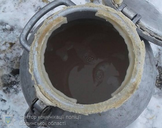 Волинянина покарають за брагу й самогон. ФОТО