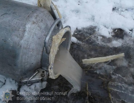 Волинянина покарають за брагу й самогон. ФОТО