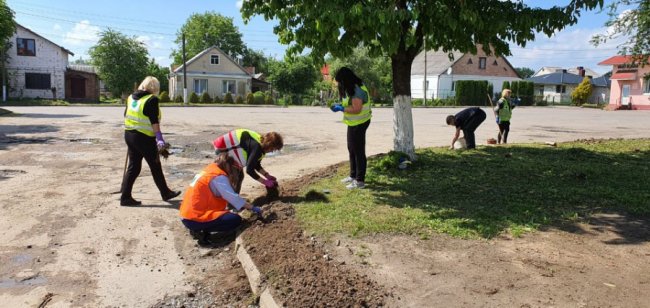 У Луцьку заквітчали зупинку: закликають підтримати ініціативу, щоб зробити місто зеленішим