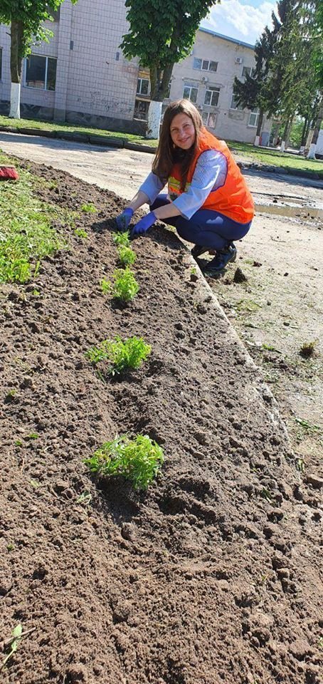 У Луцьку заквітчали зупинку: закликають підтримати ініціативу, щоб зробити місто зеленішим