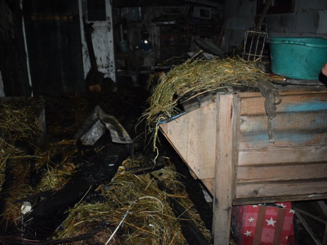 На Рівненщині у пожежі загинуло двоє маленьких дітей. ФОТО