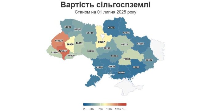 Скільки коштує гектар землі на Волині