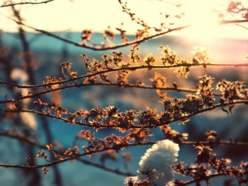 Погода в Луцьку та Волинській області на п'ятницю, 29 січня