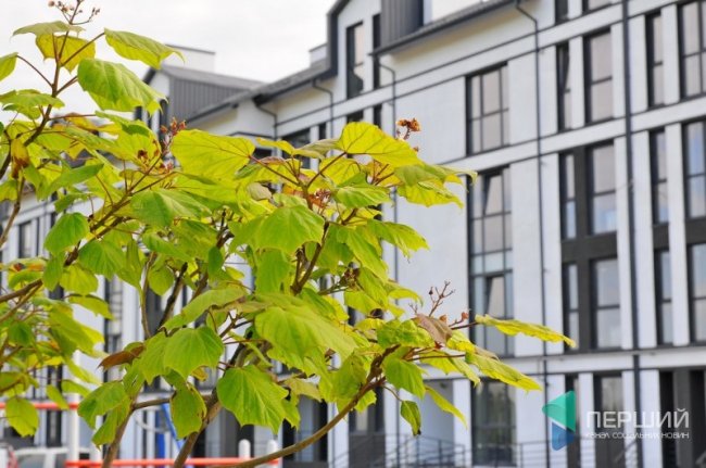 ЖК «Юпітер» продовжує рости. ФОТО*