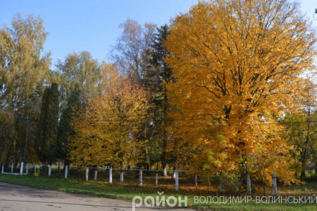 Золота осінь у волинському селі. ФОТО