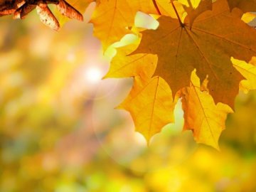 Погода в Луцьку та Волинській області на четвер, 24 вересня