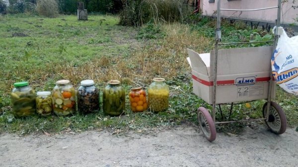 «Озерний вітер» зібрав лучан на благодійний пікнік. ФОТО